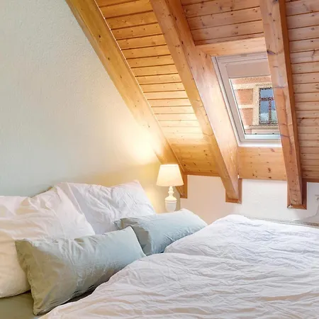 Kastanie * Halle (Saale)