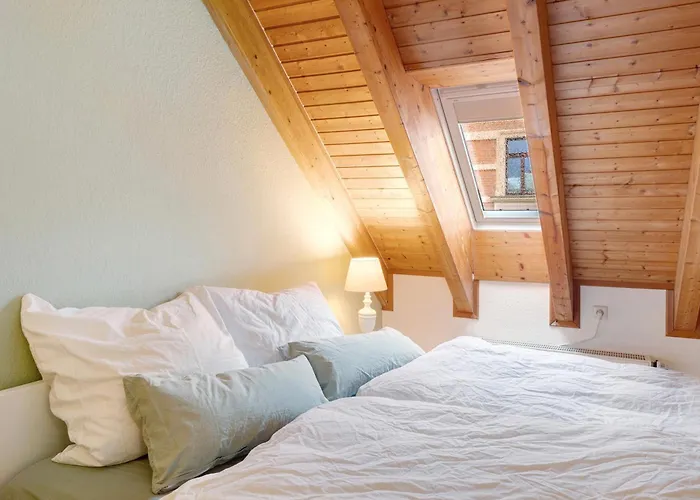 Kastanie * Halle (Saale)